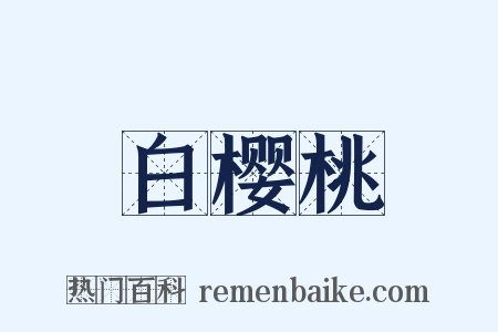 白樱桃是什么意思的图片